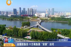 【视频】全国放鱼日 十万尾鱼苗“安家”汾河图片