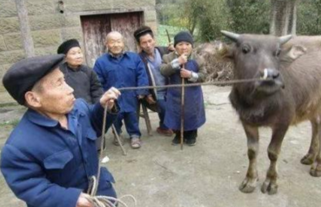 与世隔绝“矮人村”：三四岁停止生长身高仅半米多，10里地走一天