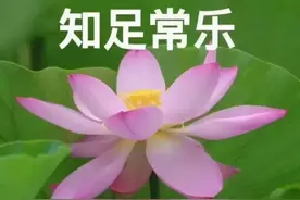 惊！刚刚发出！这些中老年表情包再不保存就晚了图片