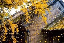 “秋分早，月份晚”今年冷的早吗？今年秋分不一般，咋回事？图片