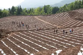 从机制建立角度解决耕地撂荒难题，重庆市政协委员提出建议图片