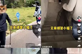 600万粉丝网红狠心“变坏”，因为“好人没好报”？图片