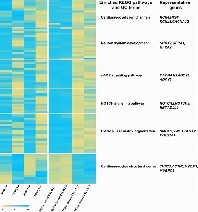 复旦上医11月科研成果一览
