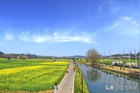 湖南这些赏油菜花胜地，你去过吗？图片
