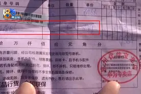 又见折叠屏手机漏液 很小的点是“人为”？图片