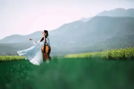 一个有上等风水的家庭，往往有三不动，越不动，福气越多图片