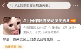 “上网课吸猫忘记关麦！更可怕的是...当事人还是老师哈哈哈！”图片