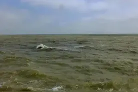 我国的内海——渤海简介图片