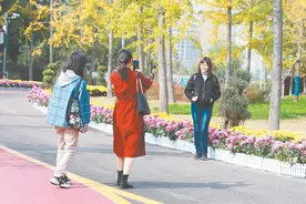 开封“网红打卡地”越来越多的背后图片