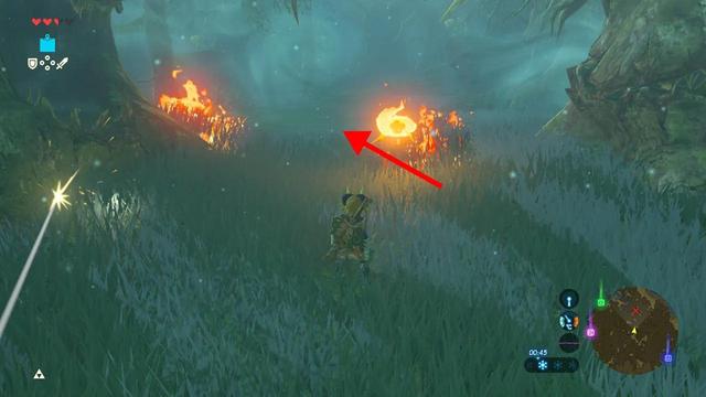 塞尔达传说之旷野之息全神庙位置（六）——森林之塔