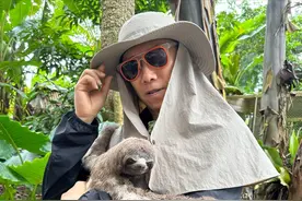 笑不活了！夏雨晒与树懒合照心情激动，我却笑死在网友的评论区！图片
