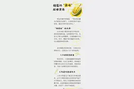 榴莲的味道是怎么来的图片