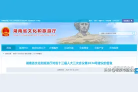 人大代表联名建议加强“夜经济”背景下酒吧监管，省文旅厅答复图片