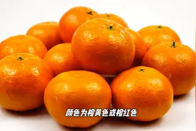 橘子跟桔子有什么区别？#知识科普图片
