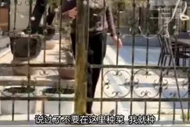 女子租住的别墅被邻居大妈种上菜，上门对质遭多次辱骂威胁图片