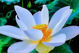 不管夫妻还是恋人，这三个秘密，永远不要说出来图片