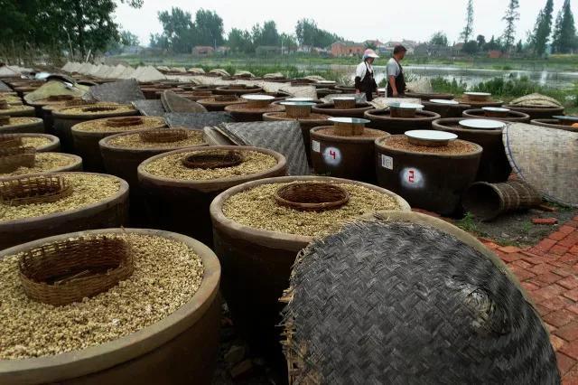 福建4款顶级酱油，经鉴定，由100%非转基因纯豆精制，有你家乡吗