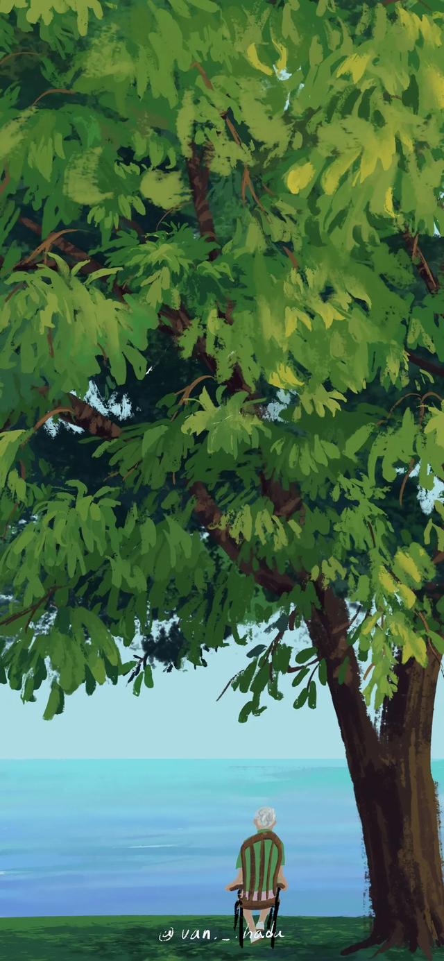 唯美四季画风壁纸|春夏秋冬