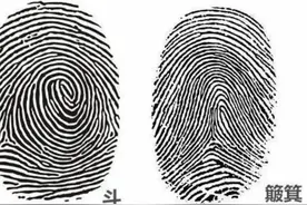 手指有多少斗和簸箕代表你是什么性格？科学研究发现了"新大陆"图片