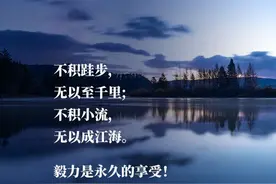 励志语录 早起的鸟儿有虫吃，勤快点准没错图片