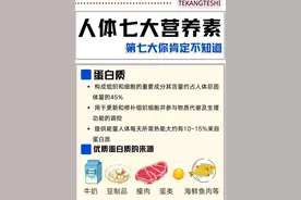 人体必需的七大营养素图片