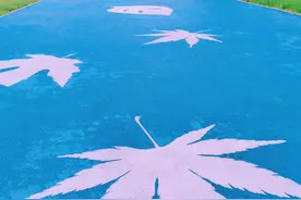 情绪是最好的风水图片