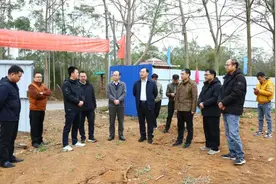 依法履职强担当 守正创新促发展——横州市第一届人大常委会2024年工作综述图片