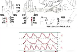 这样学脉诊、摸脉、把脉，很有意思图片