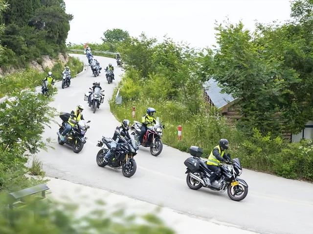 “龙”游诸城，诸事皆成