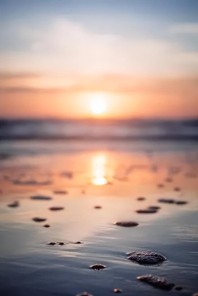 夜读 | 幸福，藏在糊涂里