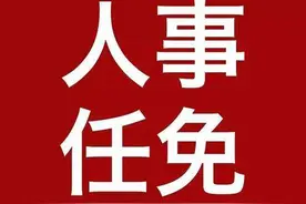 重要人事任免来了【2024.11.11】图片