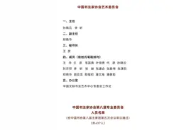 中国书法家协会第八届专业委员会名单图片