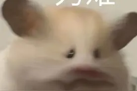 开心得飞起来（表情包来了）图片