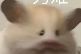 开心得飞起来（表情包来了）图片