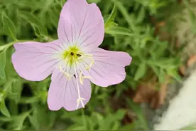 俗语“东西七不送，送了人散财也空”，是哪七样？有什么讲究吗？图片