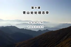 小学课文《青山处处埋忠骨》丢失作者40余年，真的无关紧要吗？图片
