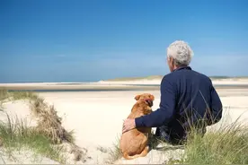 微小说：狗仗人势图片