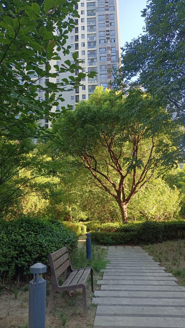 六味地黄丸炖花胶的功效 2026年六味地黄丸炖花胶的功效与禁忌 六味地黄丸炖花胶的功效 2026年六味地黄丸炖花胶的功效与禁忌