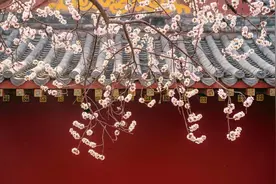 今天开园！预约、限流、免费公交全攻略请收好！图片