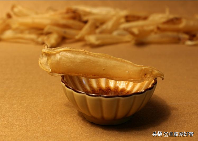 北海鱼胶和金龙胶哪种好 2025年北海鱼胶和金龙胶哪种好吃