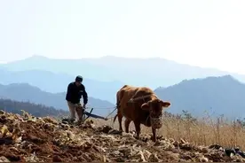 父亲耕地耕出的人生哲理让我受用一生，感恩父亲图片