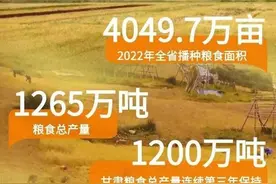 微海报 | 叮~这里有一份甘肃“三农”发展成绩单，请查收图片
