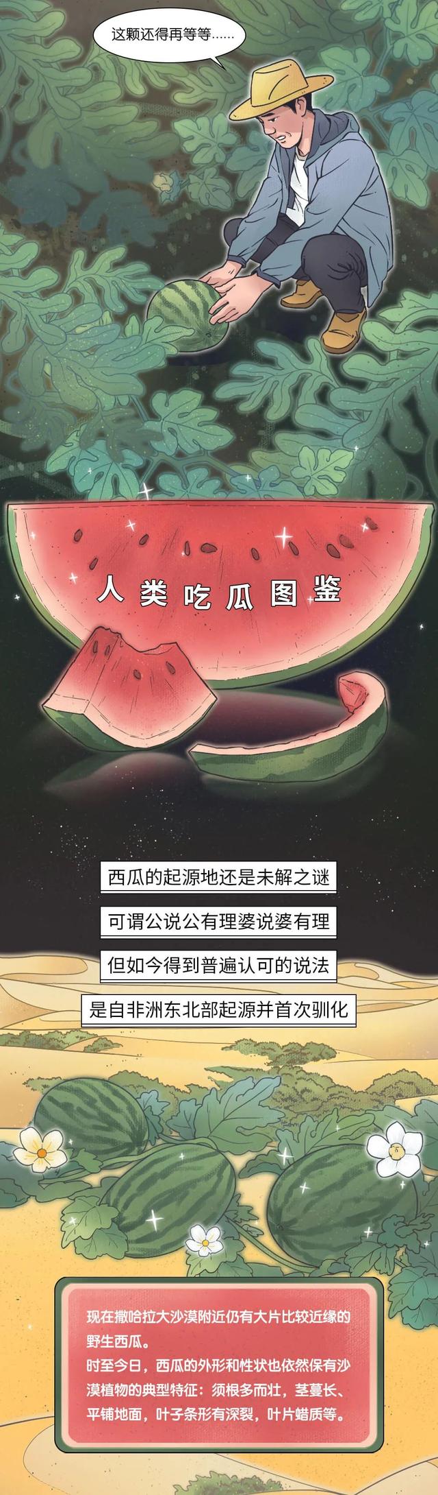 外国人都在羡慕的 吃瓜自由 中国是如何实现的 漫画揭秘 我的生活记录分享