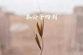 藏在乡村手工业里大国兴衰图片