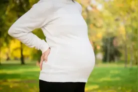 就进化方面来说，人类繁衍后代，男性和女性哪一方付出得更多？图片