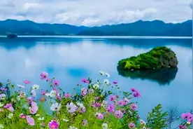 诗词 | 看到浓阴春又夏，在初夏的古诗词里，欣赏最美的初夏之景图片