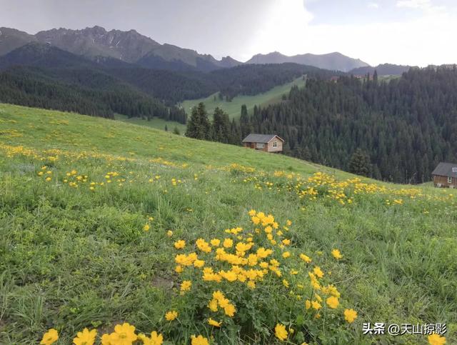 一万泉美景