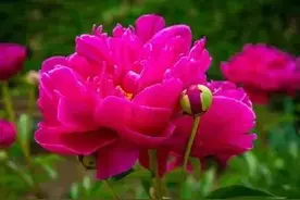 命苦的人，一般身上都有这些特点图片