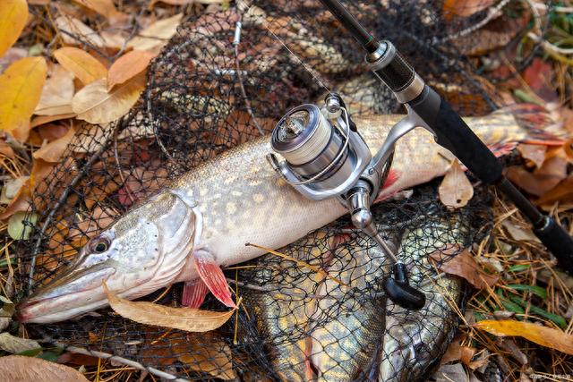 ����������ߡ����������֮·�ǰ���