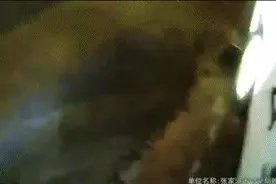 江苏苏州：起火！救人！请速查家中“惹火”源头图片